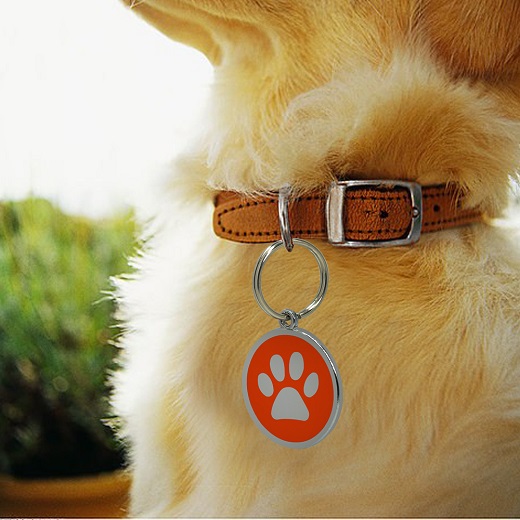 Personalized Pet Gifts for newlyweds